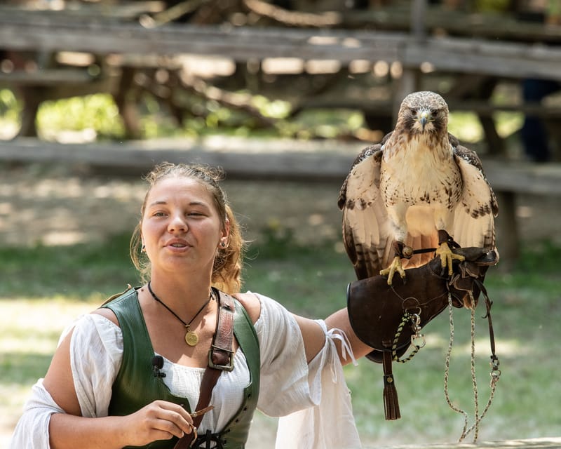 Medieval Faire May 27,2023