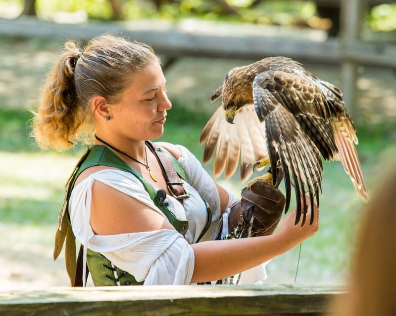 Medieval Faire May 27,2023