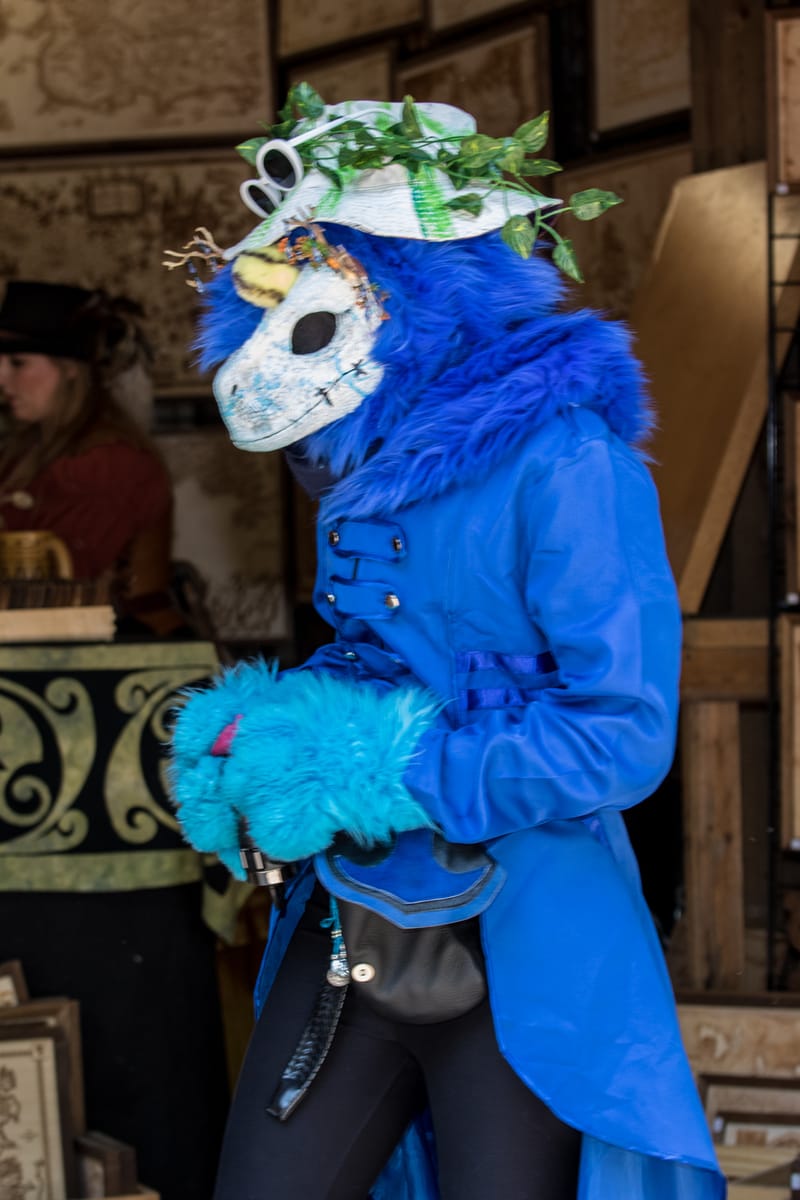 Medieval Faire May 27,2023