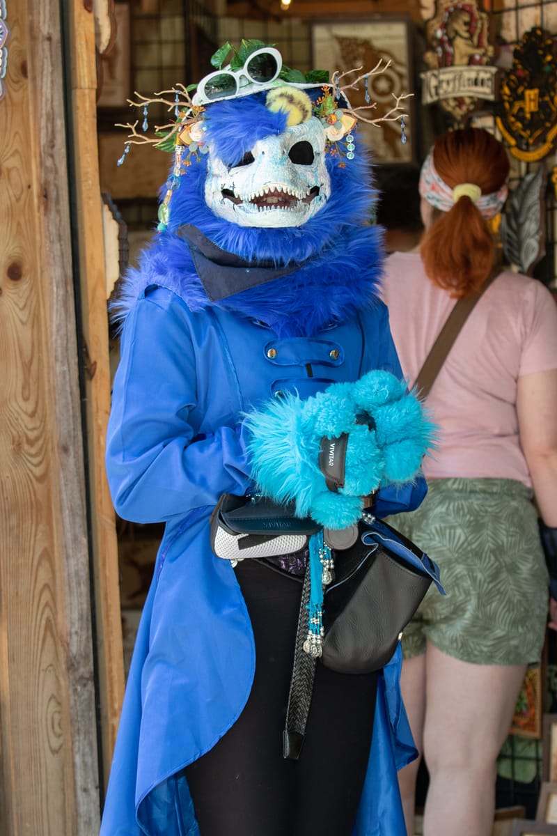 Medieval Faire May 27,2023