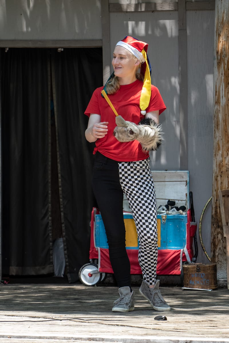 Medieval Faire May 27,2023