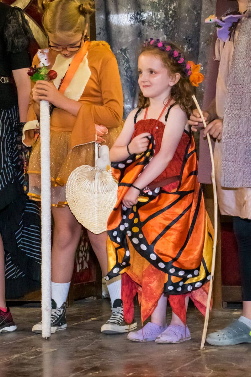 Medieval Faire May 27,2023