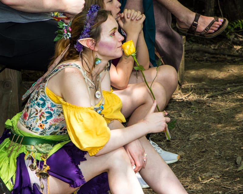 Medieval Faire May 27,2023