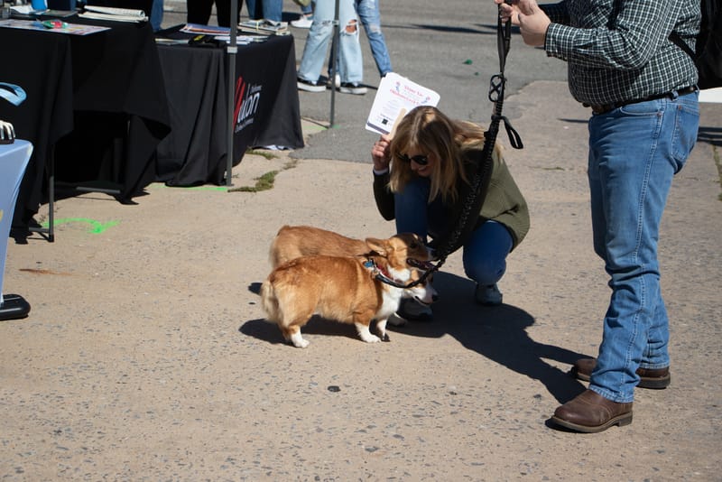 Czech Festival Yukon 2323