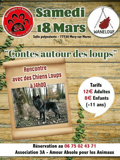 COMTES AUTOUR DES LOUPS ET RECONTRE AVEC DES CHIENS LOUP