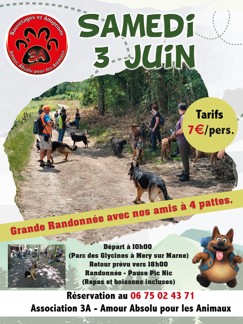 RANDONNEE AVEC NOS CHIENS