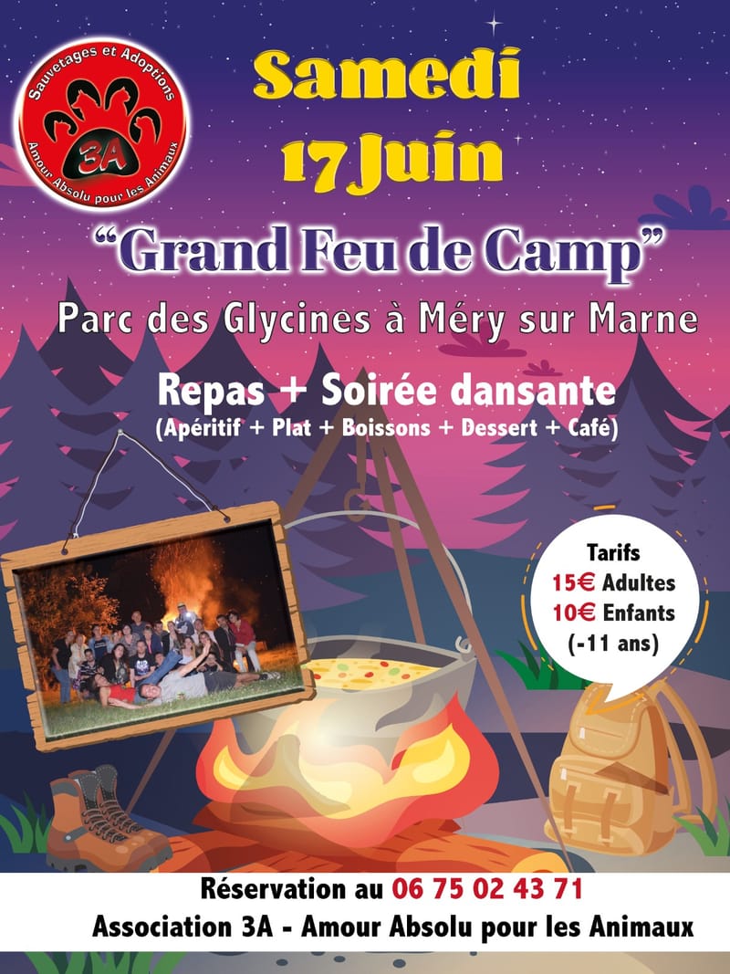 FEU DE CAMP AVEC REPAS ET SOIREE DANSANTE