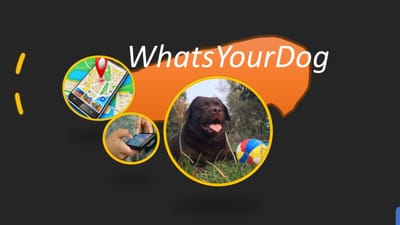 Whatsyourdog Applicazione Web per il tuo Cane e per ogni altra Specie animale