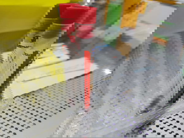 Always available blood analysis