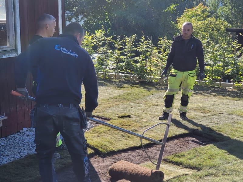 Anläggning av gräsmatta