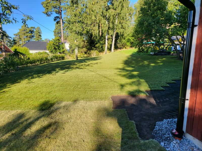 Anläggning av gräsmatta