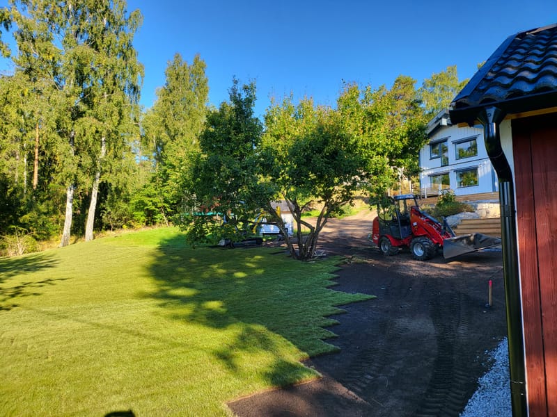Anläggning av gräsmatta