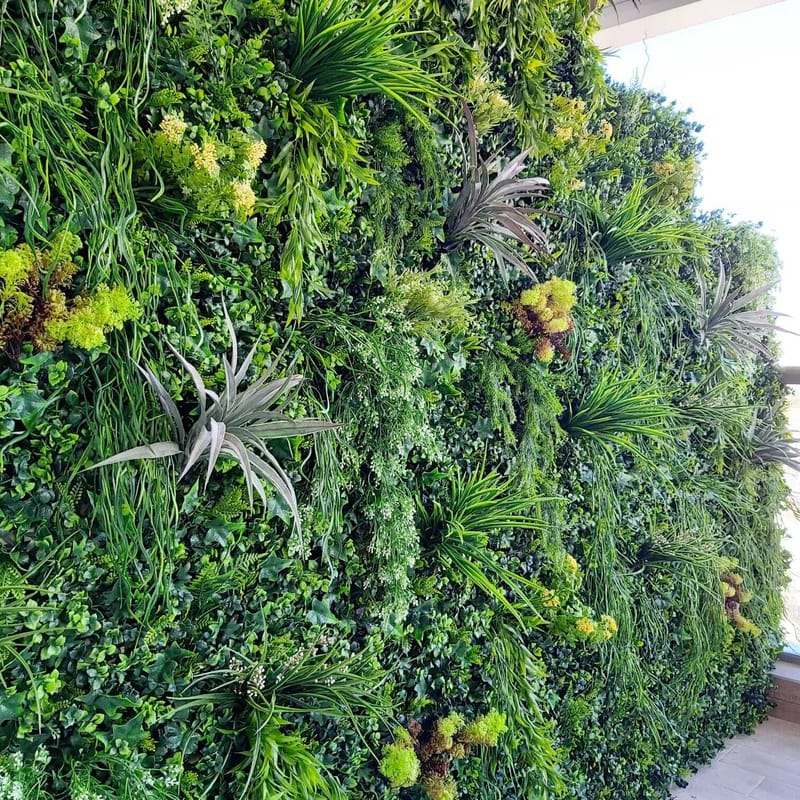 קירות ירוקים