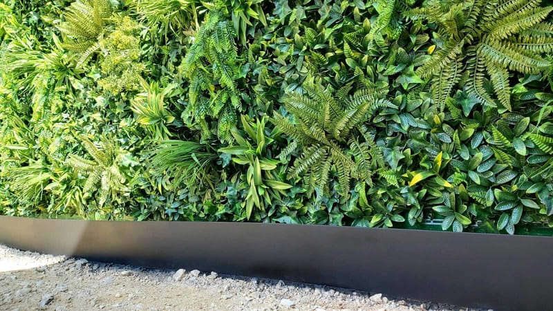 קירות ירוקים