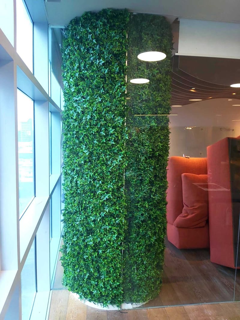 קירות ירוקים