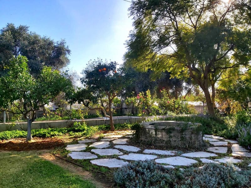 תכנון והקמת גינות