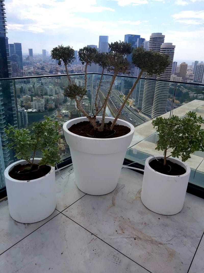 תכנון והקמת גינות