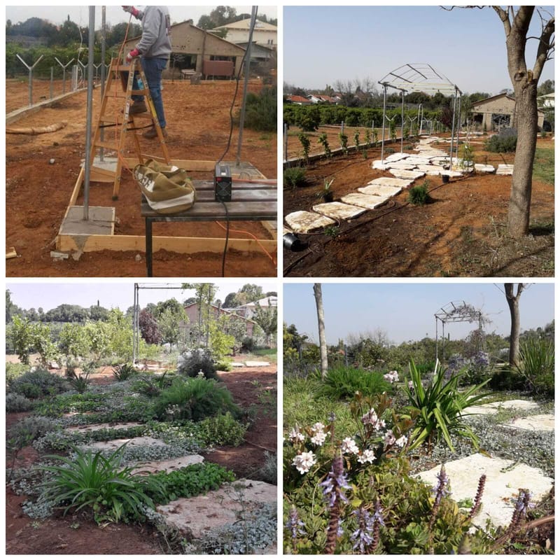 תכנון והקמת גינות