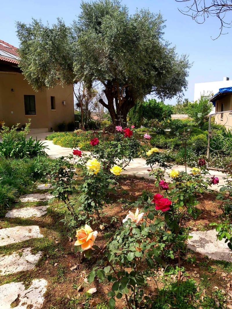 תכנון והקמת גינות
