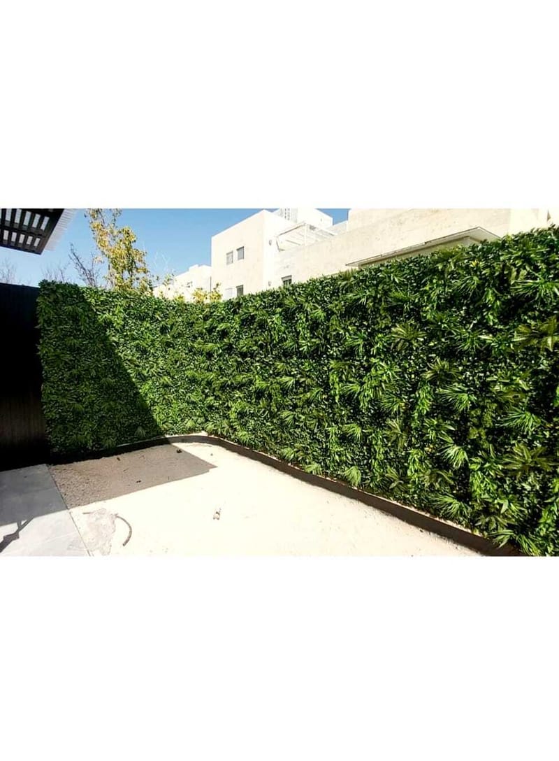 קירות ירוקים