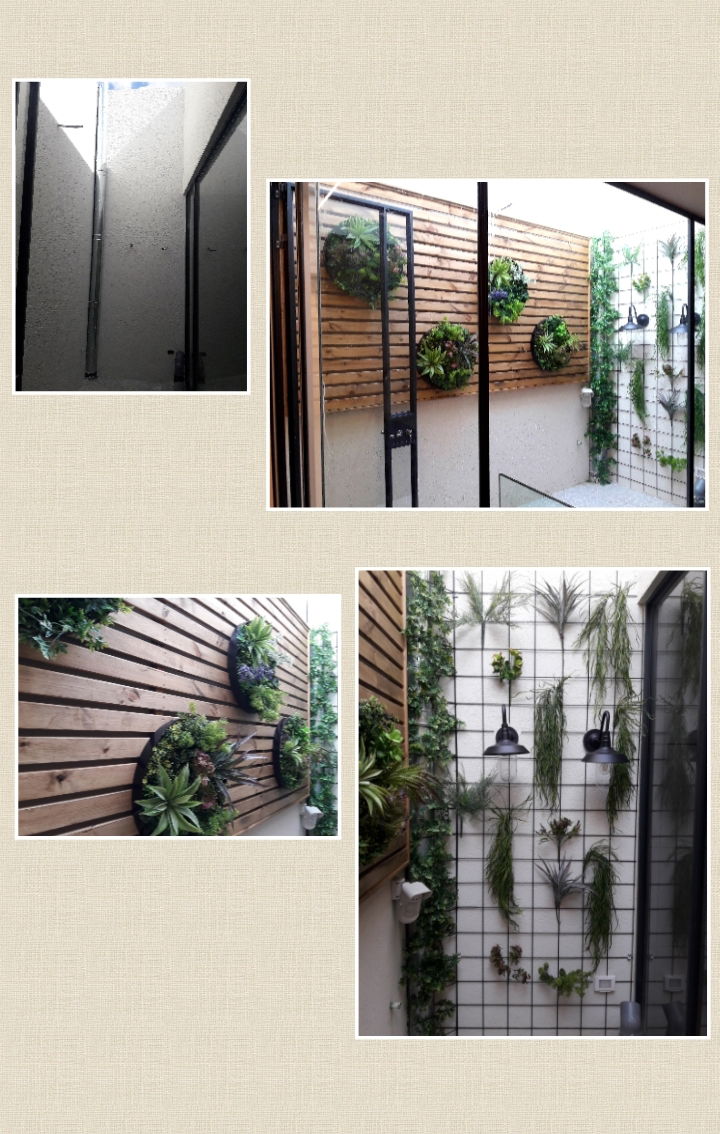 קירות ירוקים