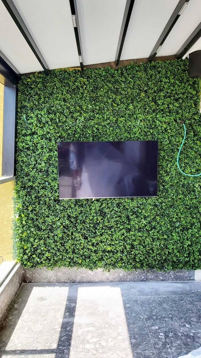 קירות ירוקים