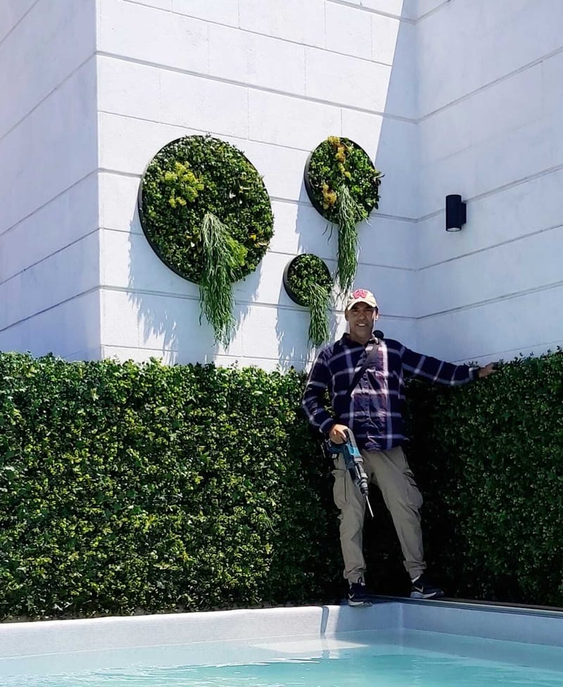 קירות ירוקים