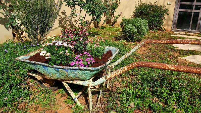 תכנון והקמת גינות