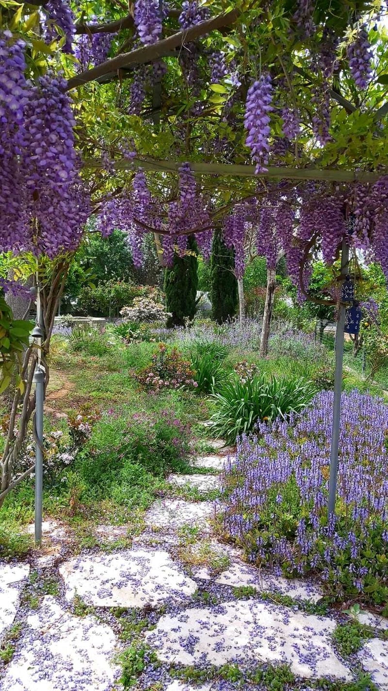 תכנון והקמת גינות