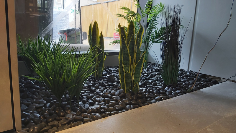 גינה פרטית ומיוחדת בתוך הבית