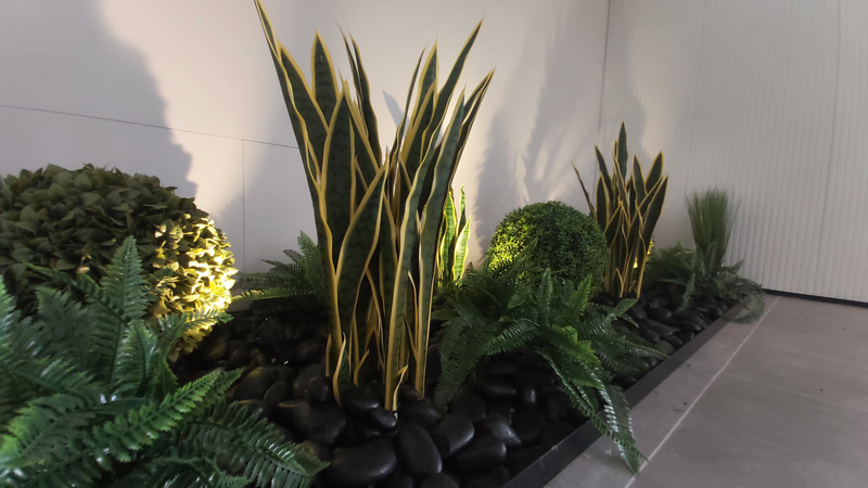 גינה פרטית ומיוחדת בתוך הבית