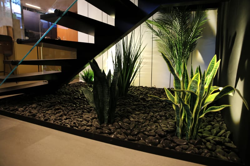 גינה פרטית ומיוחדת בתוך הבית