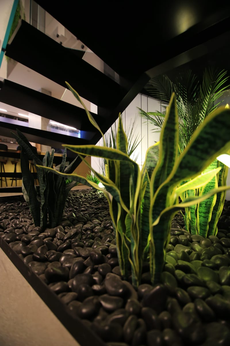 גינה פרטית ומיוחדת בתוך הבית