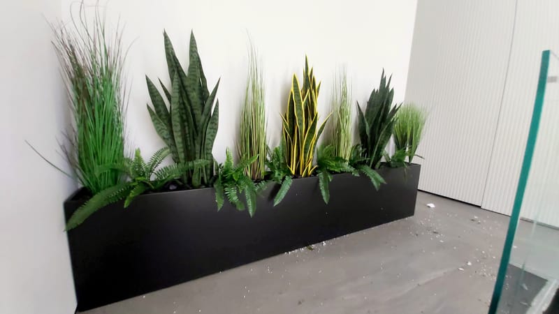 גינה פרטית ומיוחדת בתוך הבית