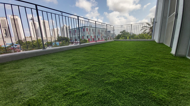 קירות ירוקים