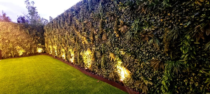 קירות ירוקים