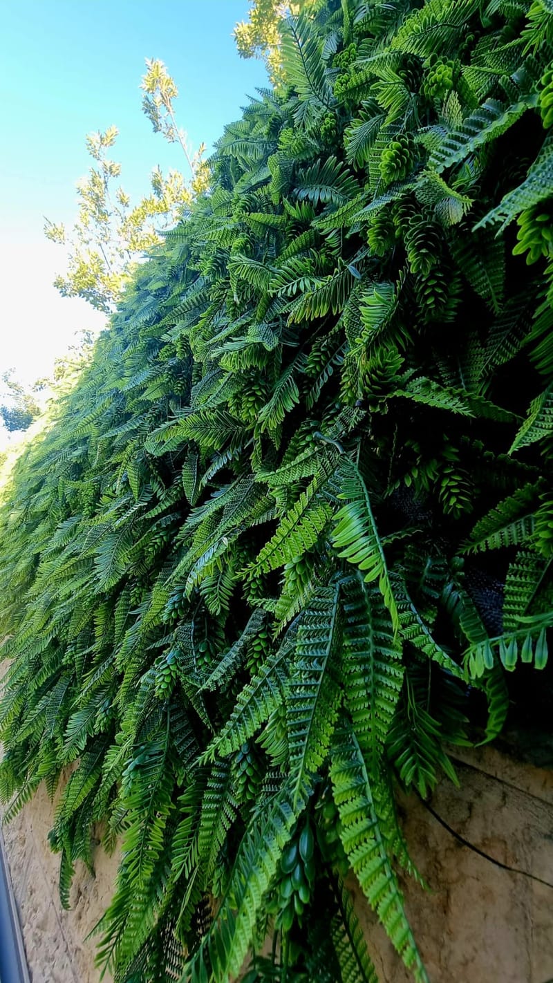 קירות ירוקים