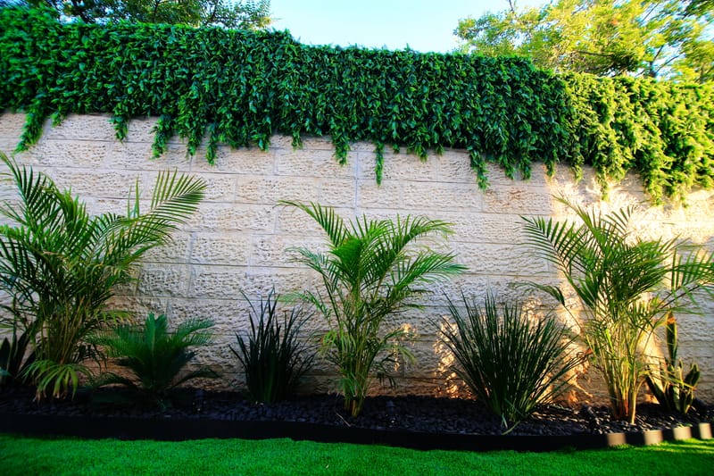 קירות ירוקים