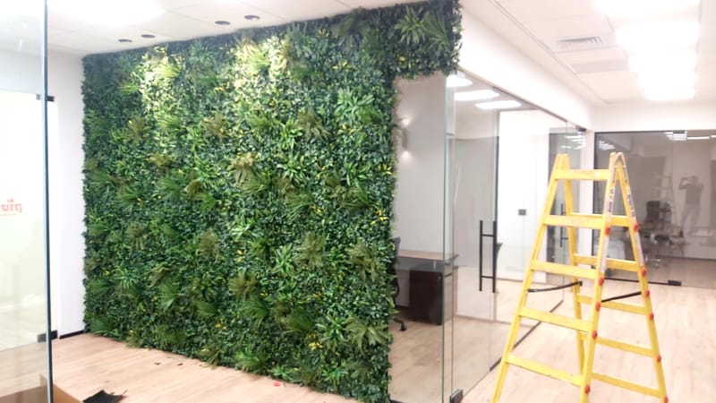 קירות ירוקים