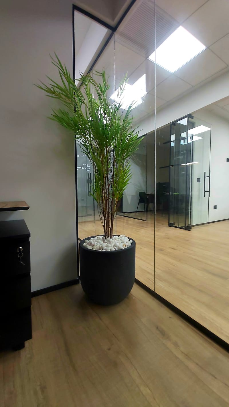 צמחיה מלאכותית איכותית