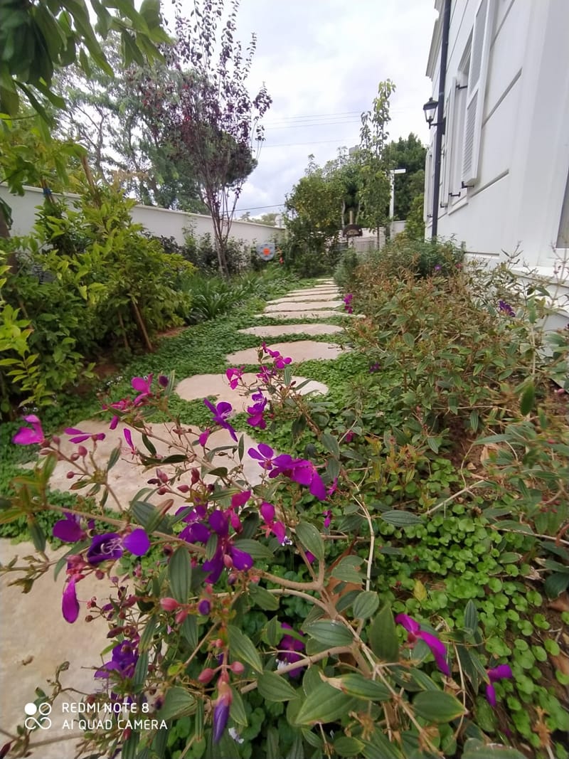 תכנון והקמת גינות