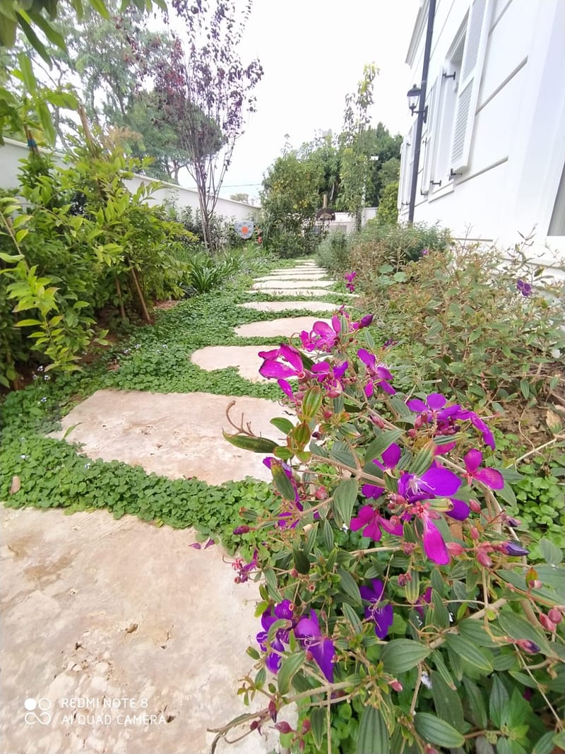 תכנון והקמת גינות