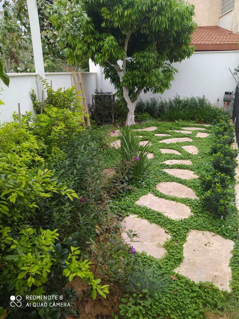 תכנון והקמת גינות