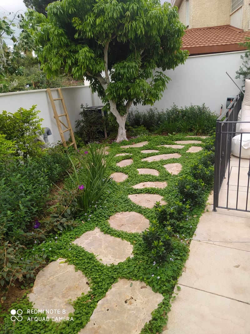 תכנון והקמת גינות