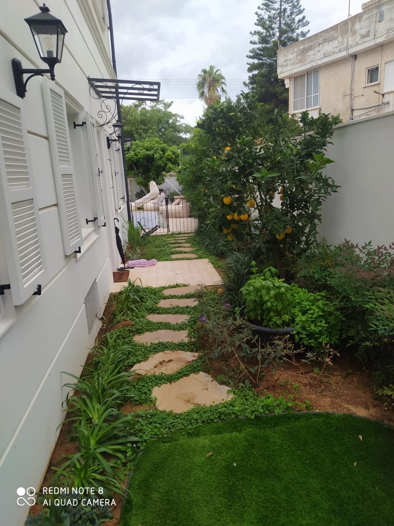 תכנון והקמת גינות