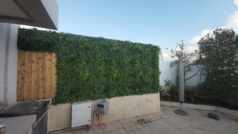 קירות ירוקים