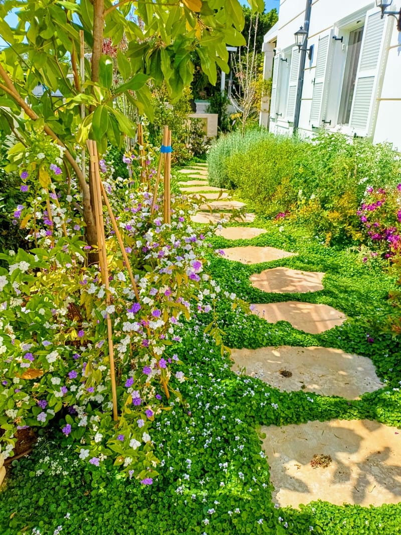 עיצוב גינות