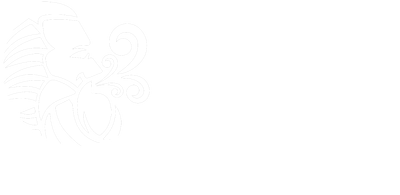 idgcustomfilters.com