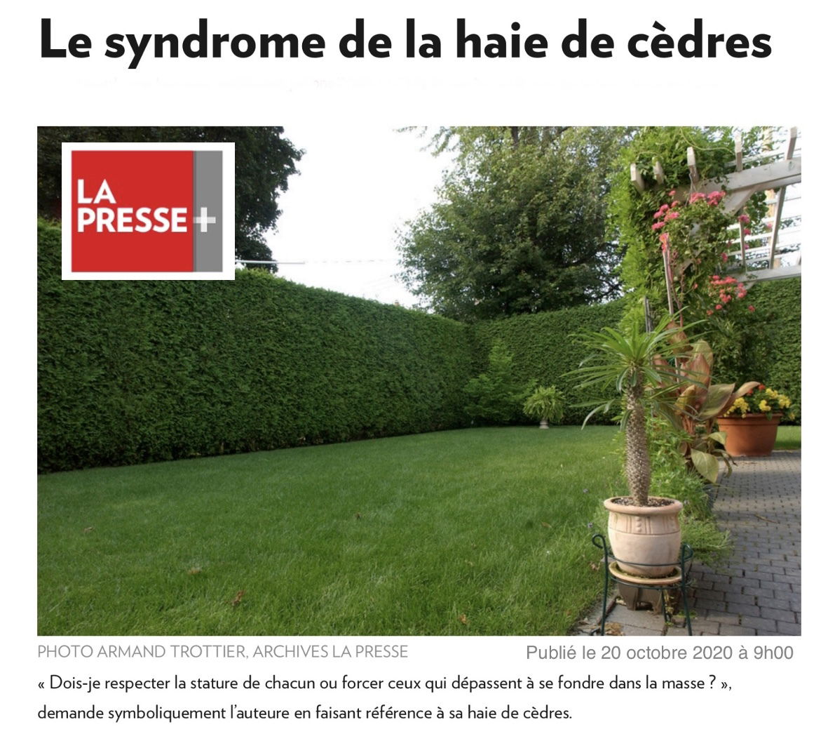 Le syndrome de la haie de cèdres