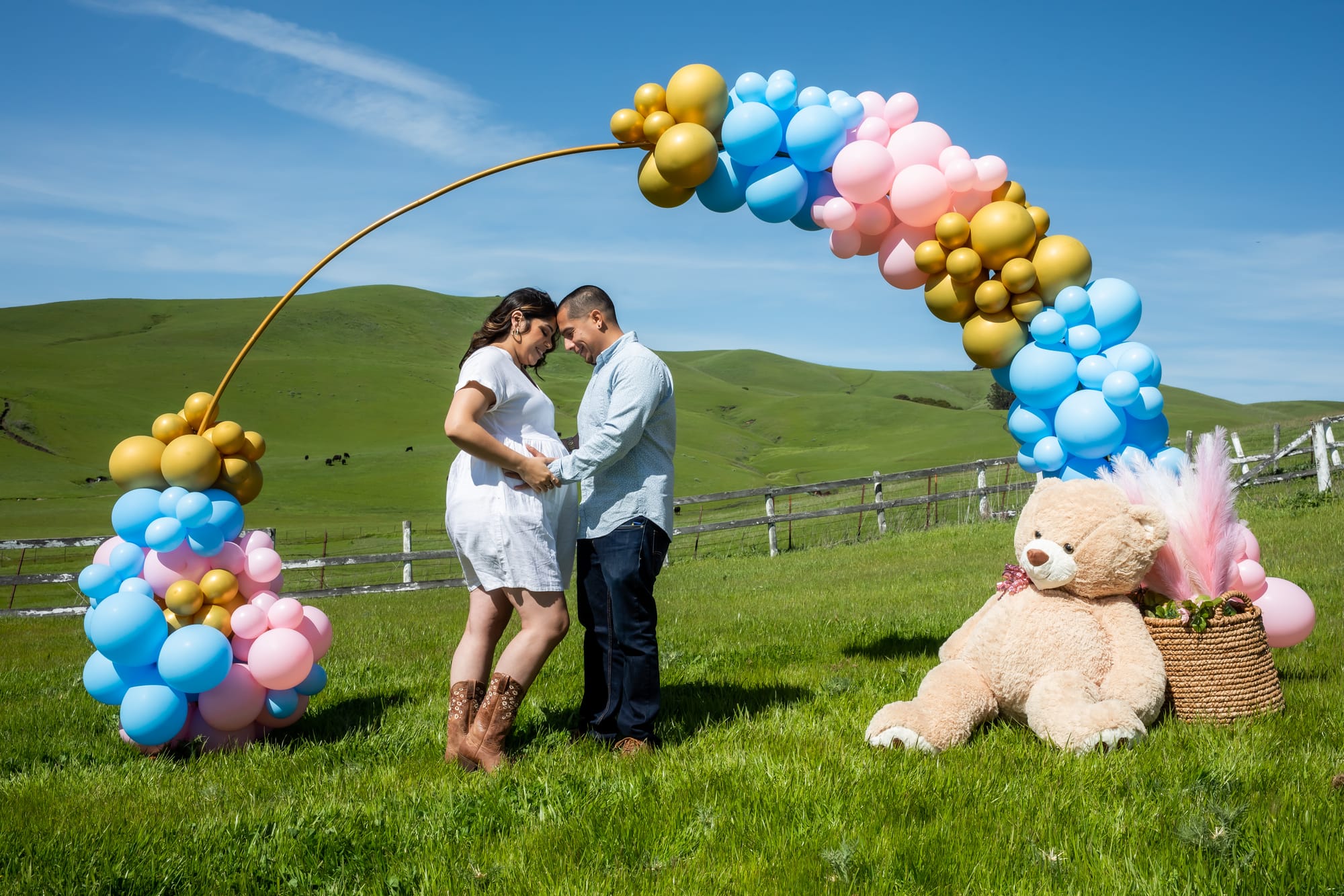 Gender Reveal at the Valley